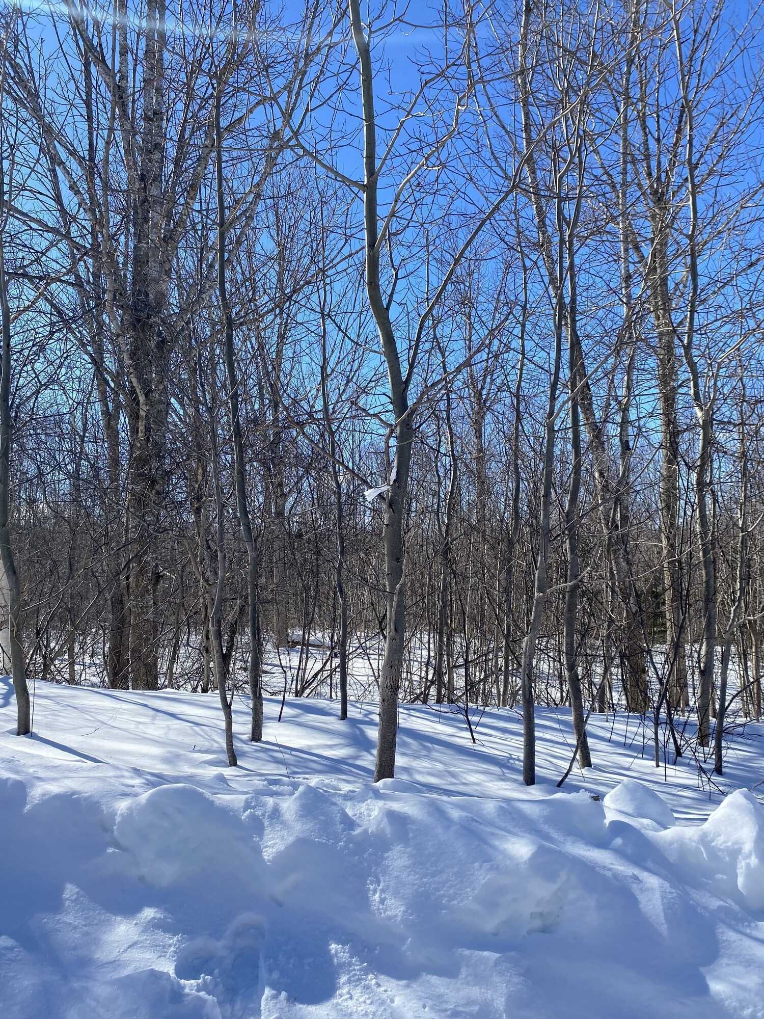 14 acres! Private with room to grow and develop! 4
