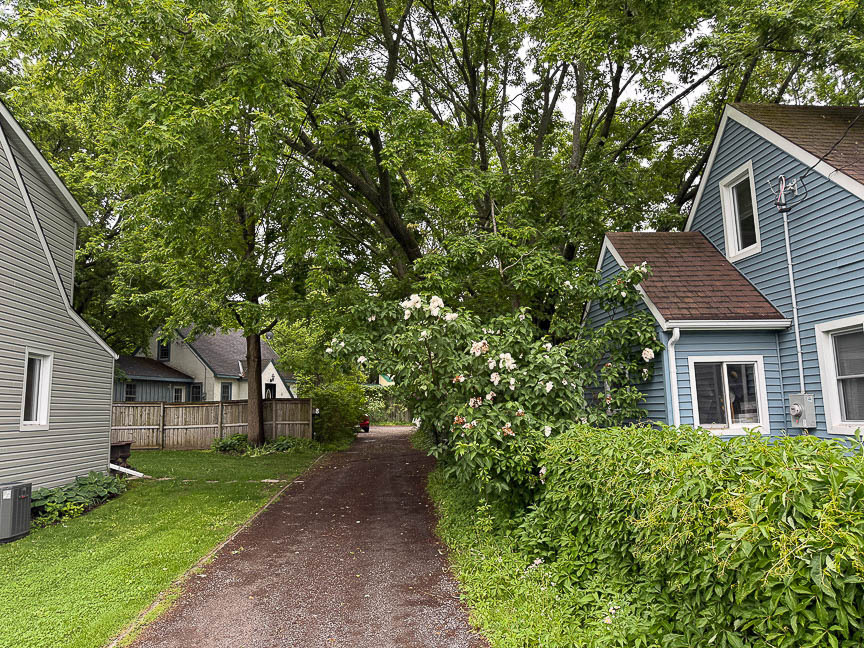 In the Heart of Prince Edward County 3