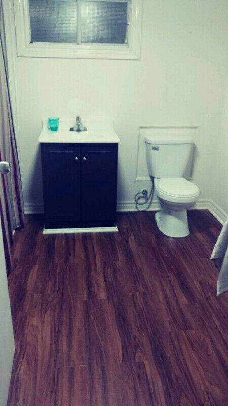 234 Alfred St, Plantagent 4
