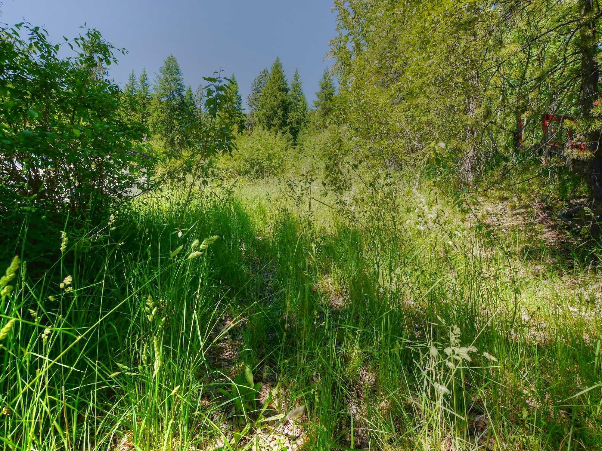 Panoramic Views!! 3.25 Acre lot with build site! 3