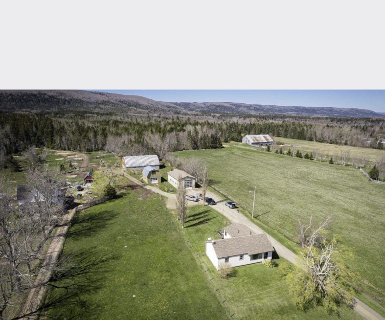 145 Acres with Hobby Farm Potential, Multiple Buildings & Stunning Mountain Views 2