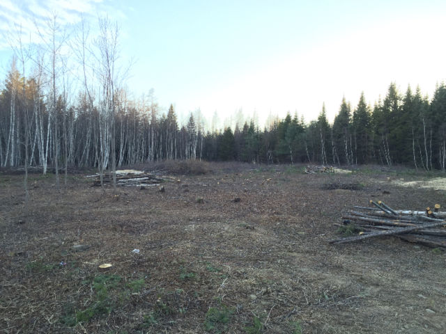 Selling a 1 acre residential building lot on the Parker Rd. ( LOT 85-2 ) 4
