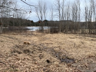 Land for sale 5