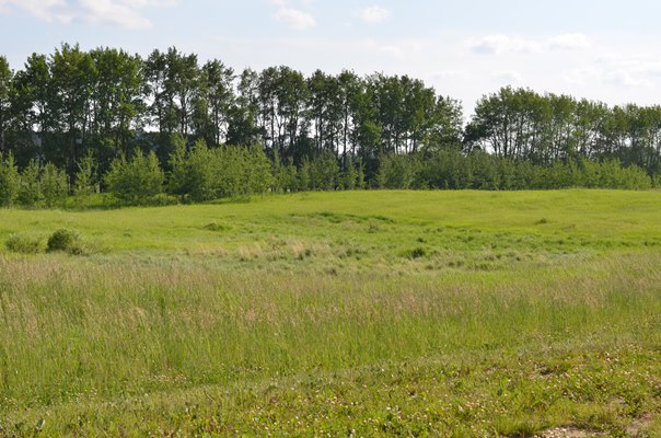Foxfire Glen Lot 4 Block 2, Rimbey 2