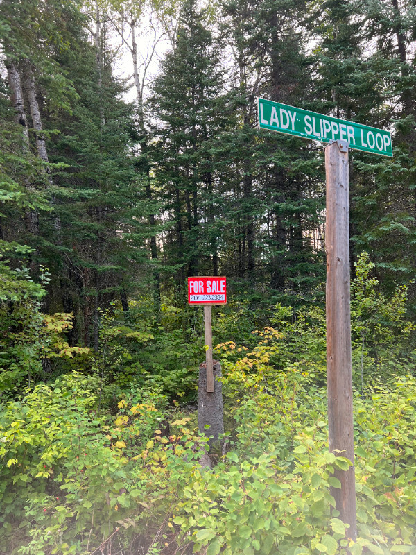 Residential Lot for Cottage Construction at Bird River. 2