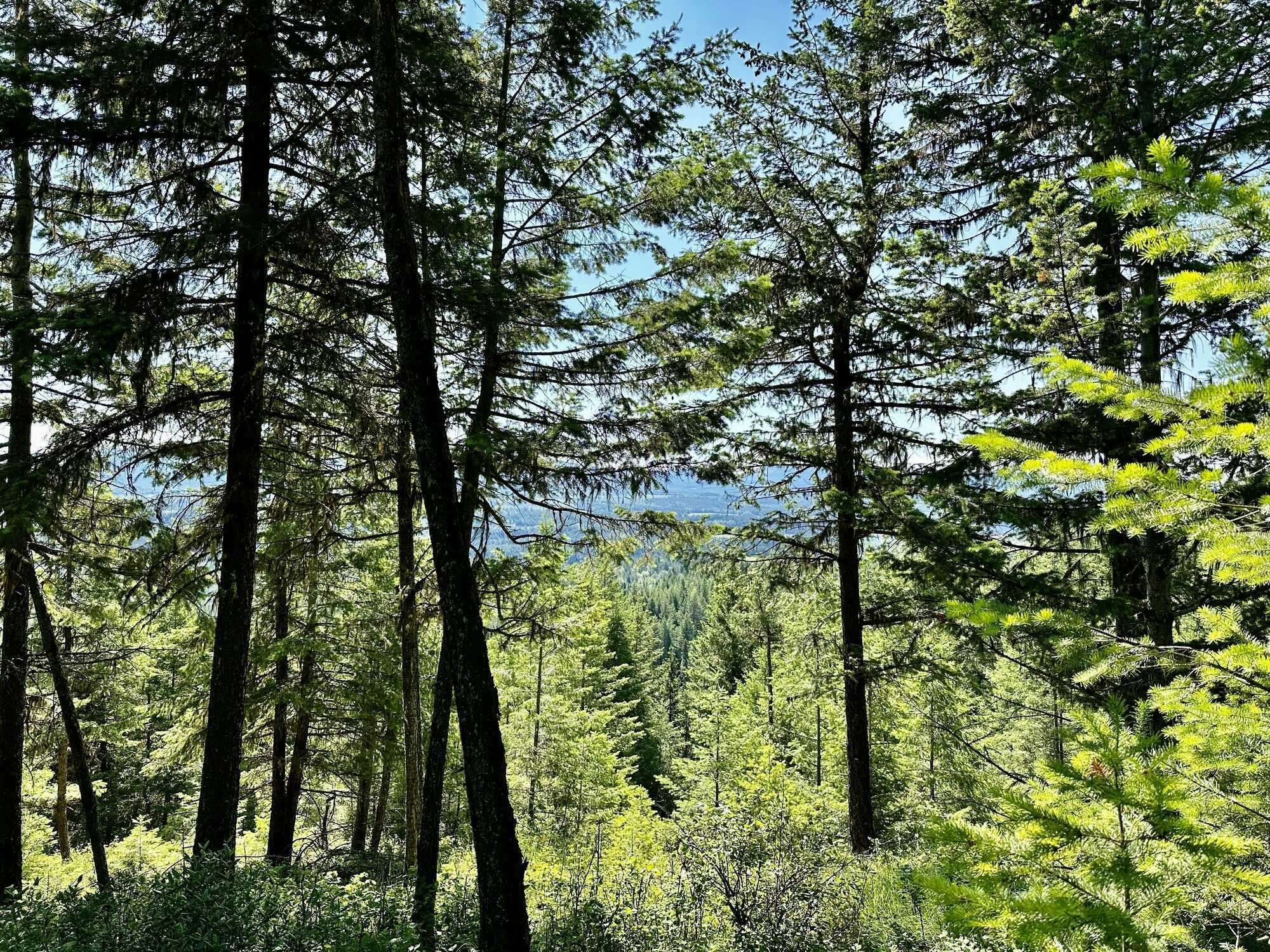 "Private Acreage with New Home, Gardens & Trails – 10 Mins from Quesnel" 3