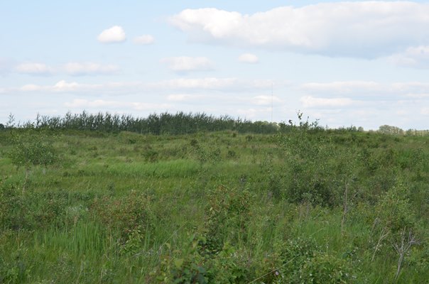 Foxfire Glen Lot 5 Block 3, Rimbey 5
