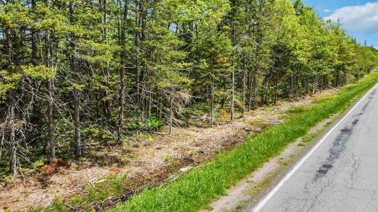 Rare 30 acre wooded lot on on Route 215, in beautiful Lower Burlington, West Hants - build your dream home with privacy, wildlife, and lifetime supply of firewood 3