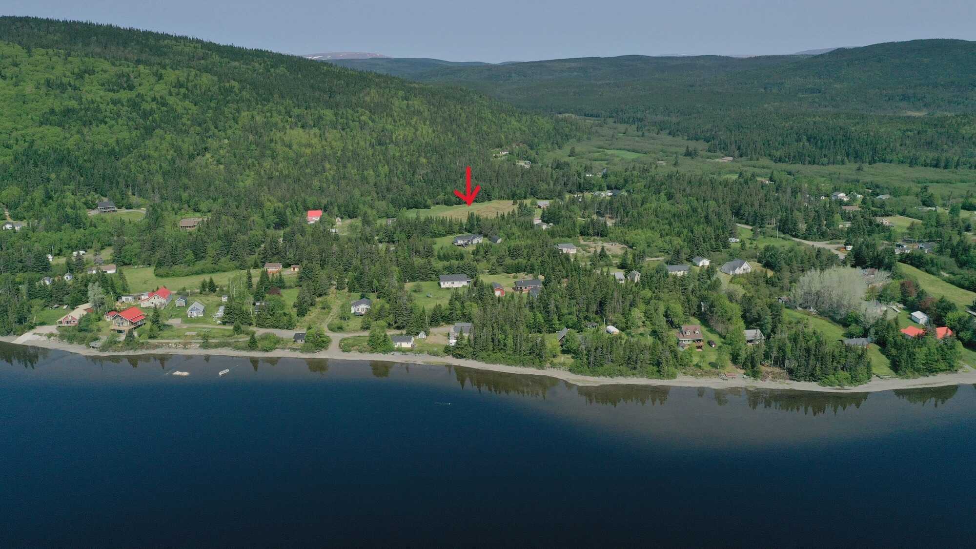 Your Dream Cabin Starts Here – Spruce Brook Lot for Sale! 3