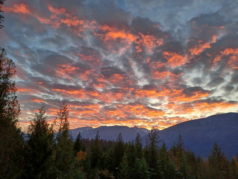 33+ Acres w/ Amazing Slocan Lake Views!  Lovely & Cozy 1 Bed 1Bath Home! HUGE 4 Bay SHOP! Plenty of Build Sites for View Home! Pastures w/ Irrigation & Timber 2