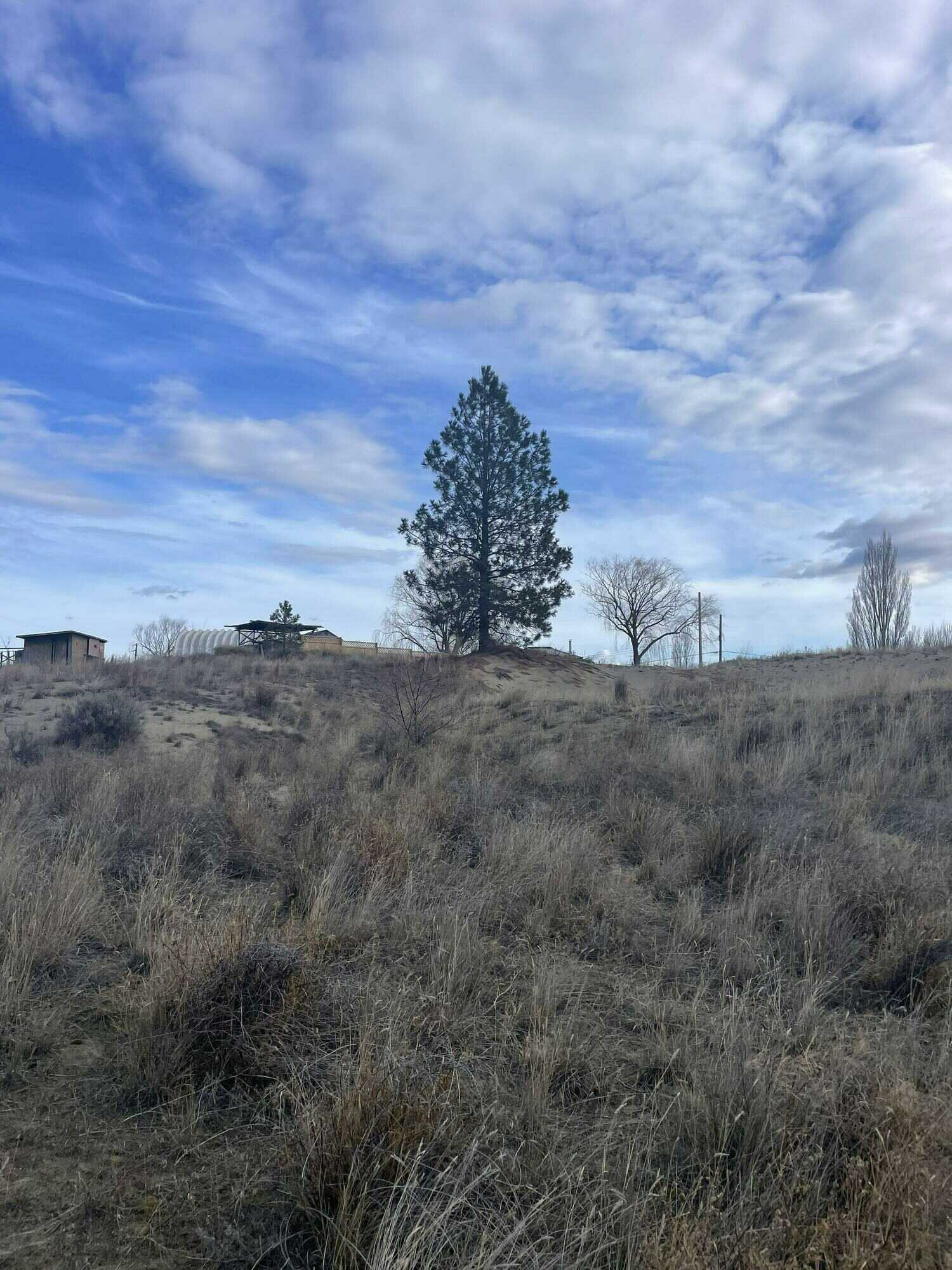 Hilltop Acreage with Sweeping Views! 2