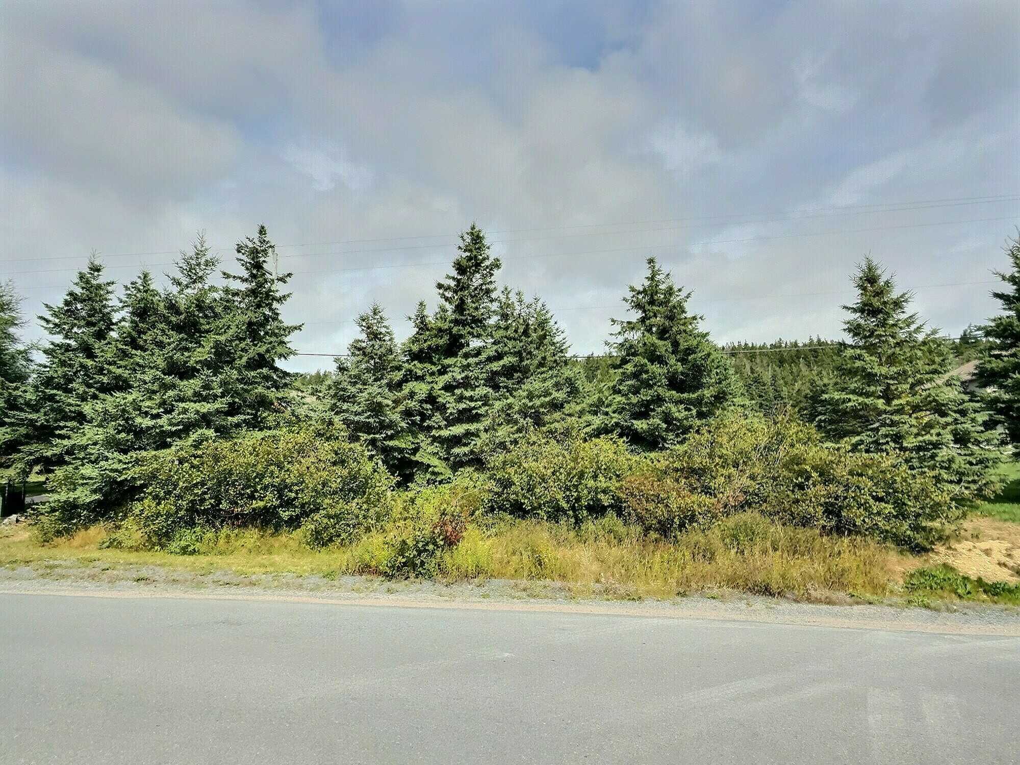 10 Acres with Endless Possibilities in Carbonear! Development or private estate close to schools, hospital, recreation, shopping, outdoor living, etc. 3