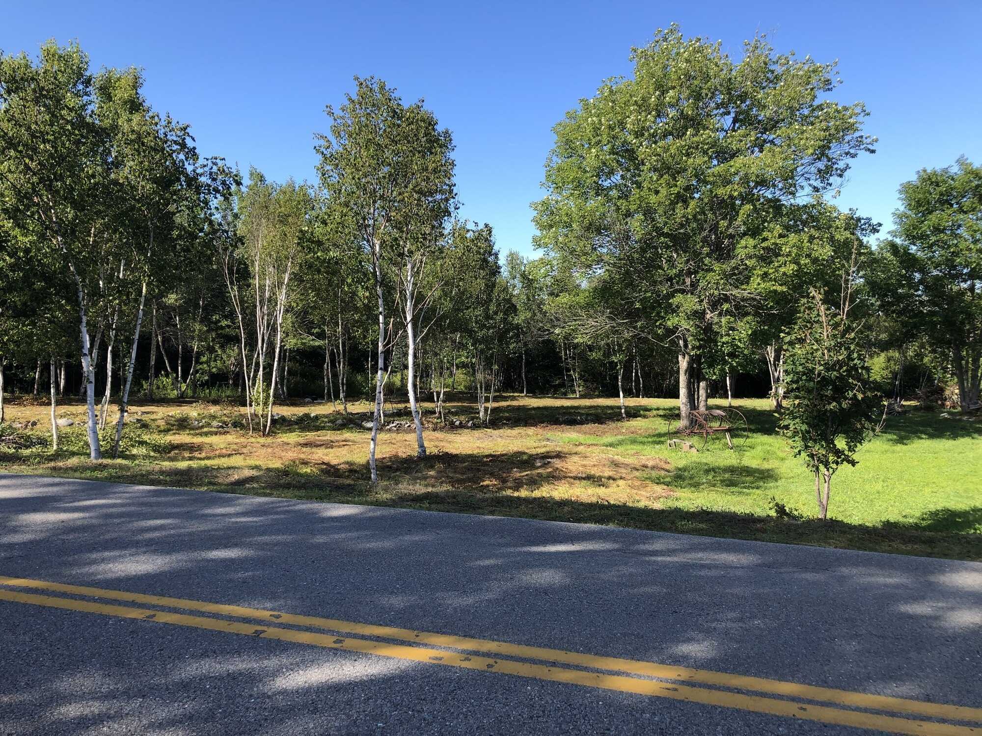 Oceanfront Vacant Lot on Feltzen South Road 2