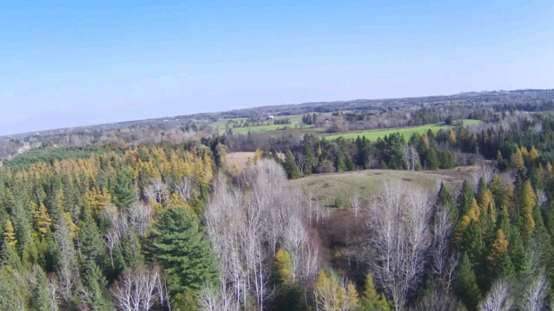 Private 7 acre lot Norwood 5