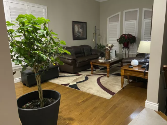 Raised Bungalow (Jefferson Forest) 3