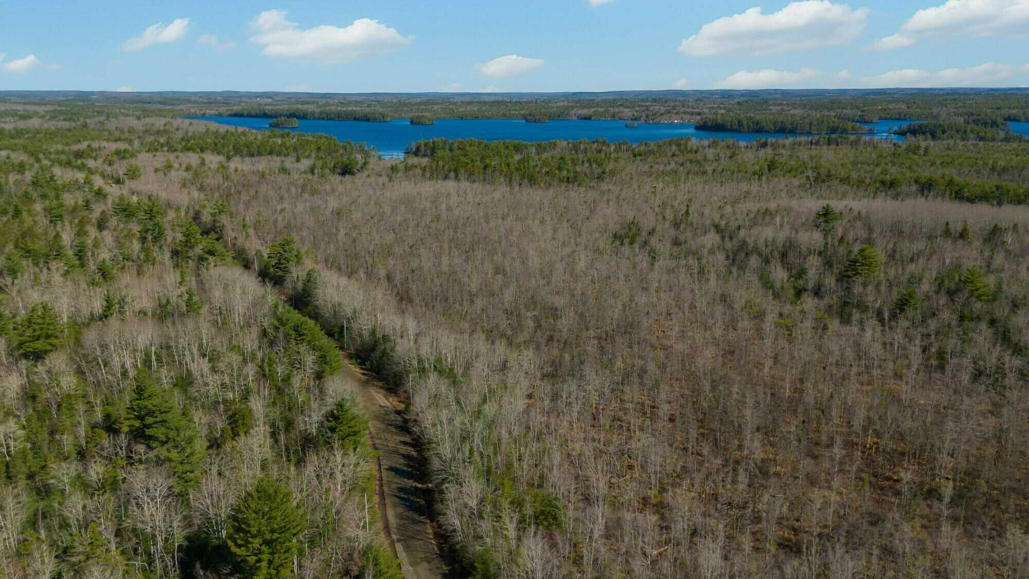 Woodland Opportunity in East Clifford – 27 Hectares / 66.7+ Acres 5