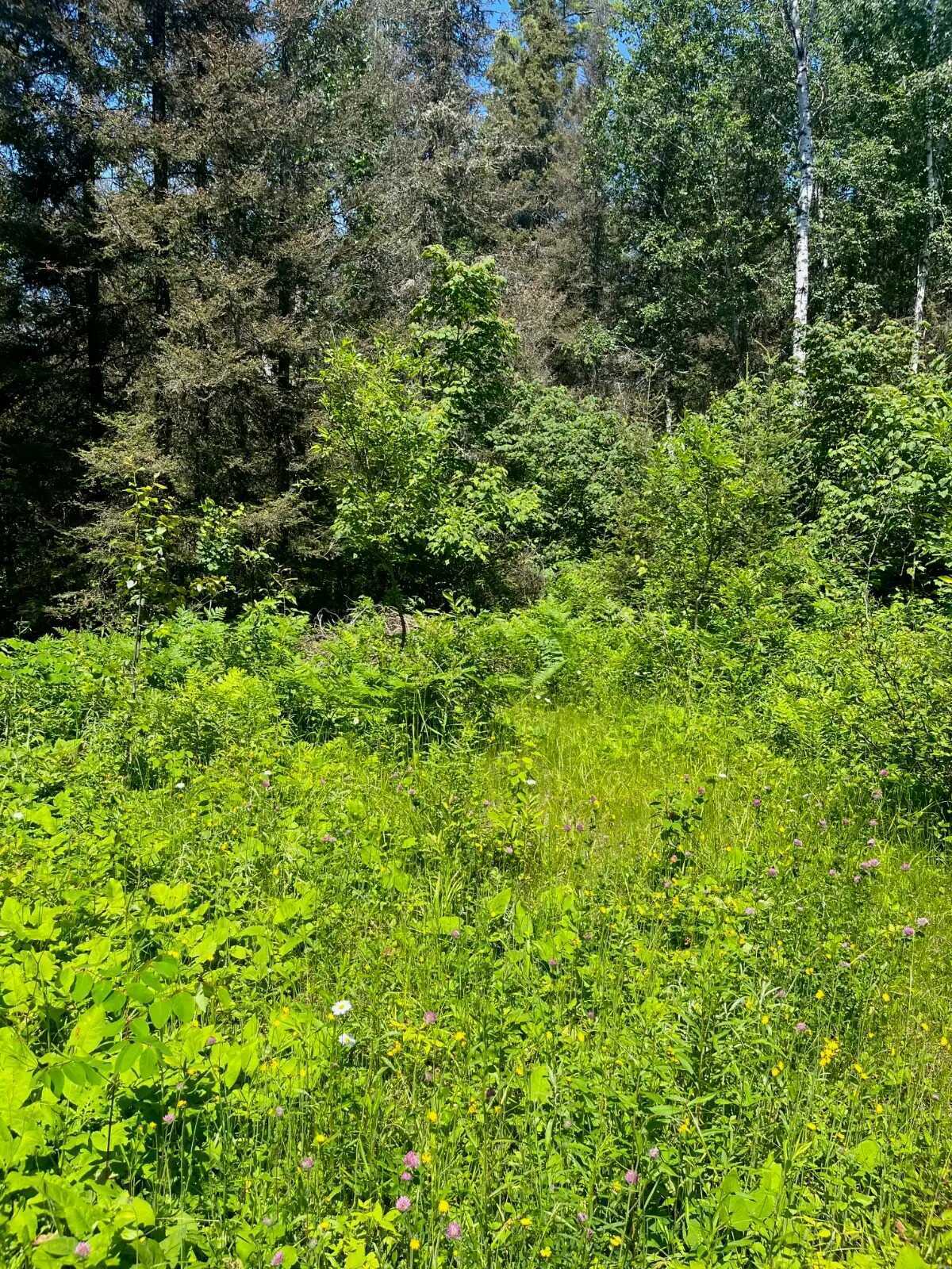 Rare 20-Acre Off-Grid Paradise – Larder Lake Boundary 4