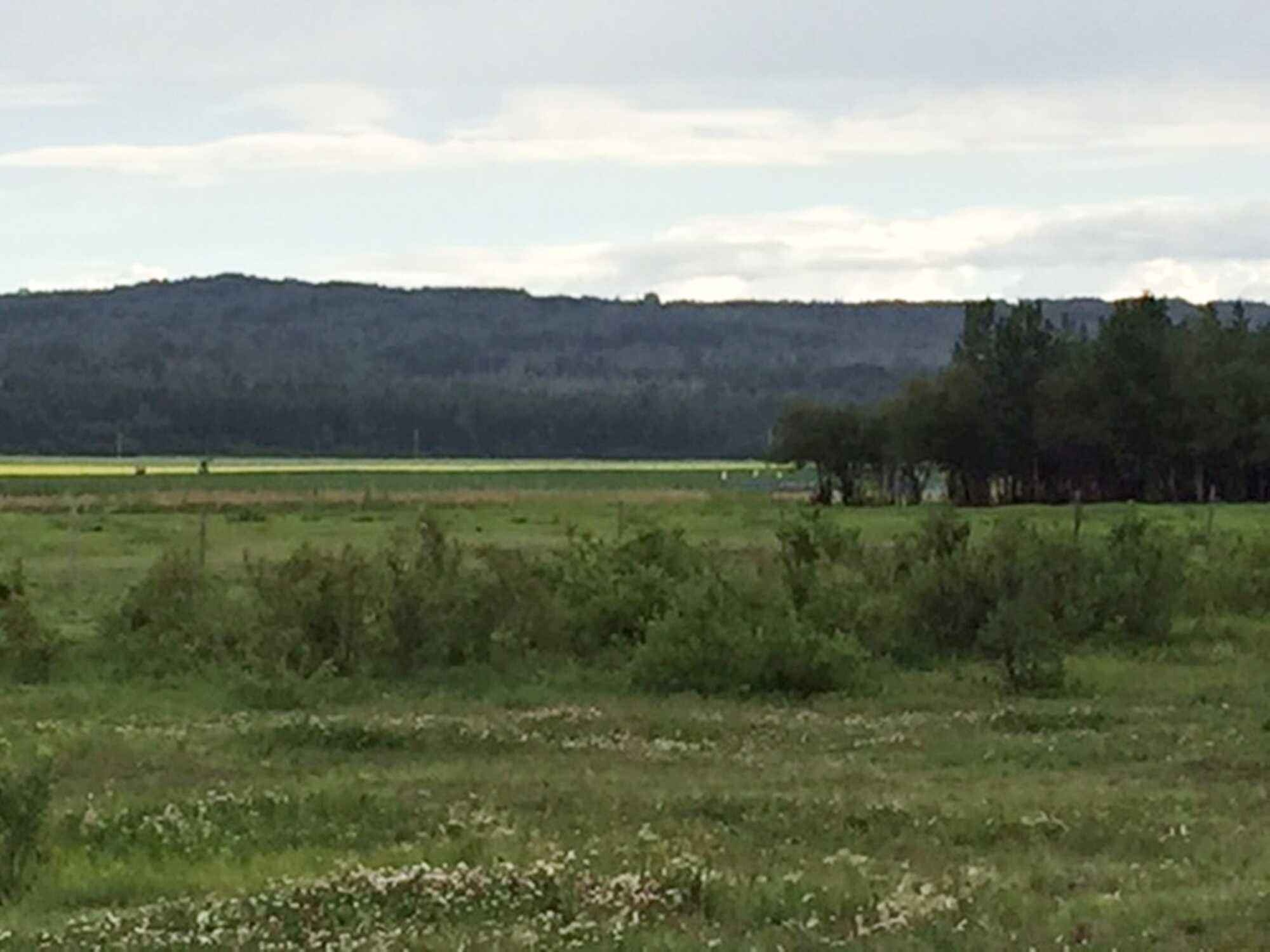 Township Rd 782 Range Rd 90, Spirit River 2