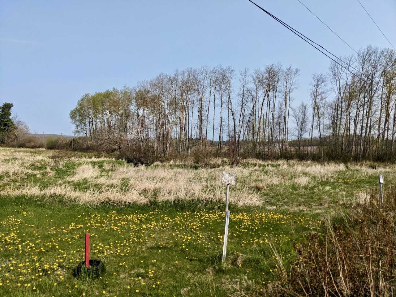 10 fertile acres of land near Berwick, on secluded, no exit, Dodge and Durling Road. 3