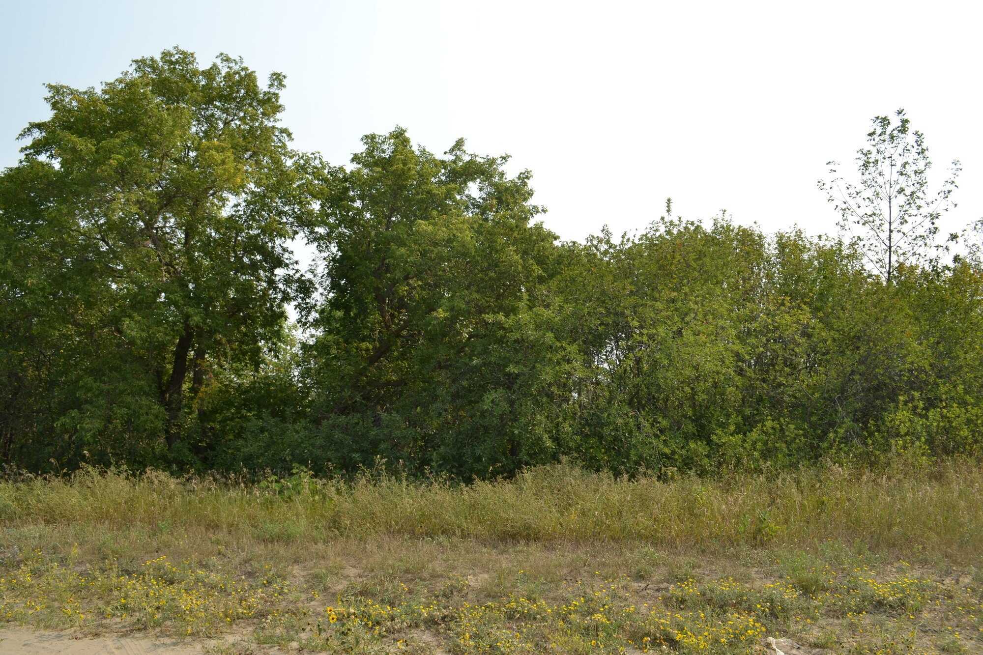 lot 4, Pike Lake 2