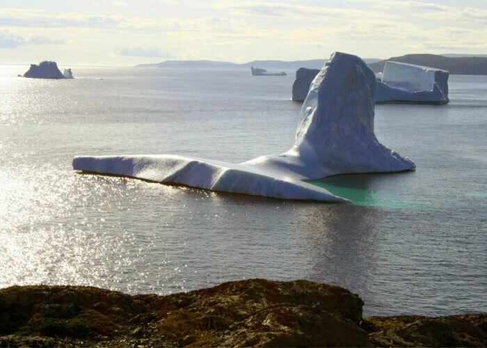 Northern Peninsula Oasis: Your Gateway to Newfoundland Adventure

Turnkey tourism business for $399,000 5