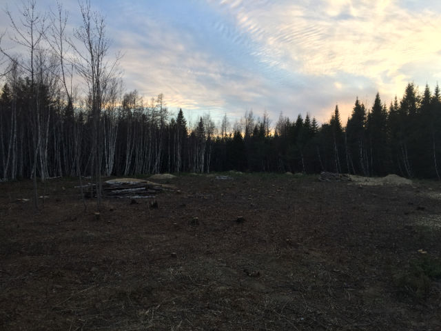 Selling a 1 acre residential building lot on the Parker Rd. ( LOT 85-2 ) 5