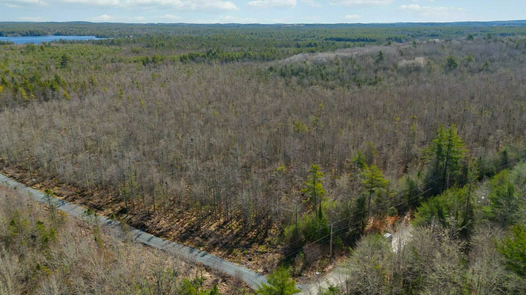 Woodland Opportunity in East Clifford – 27 Hectares / 66.7+ Acres 2