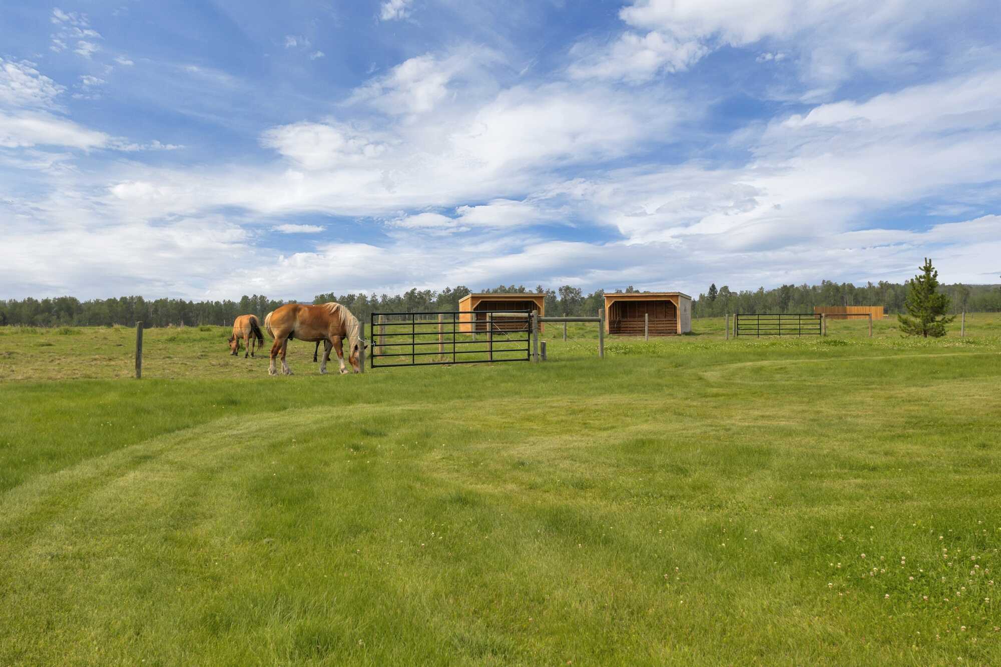 7.19 Acres ~ Extensively Renovated ~ Turnkey Hobby Farm ~ Panoramic Views ~ ICF Ranch Bungalow ~ 32' x 42' Heated Shop ~ 2