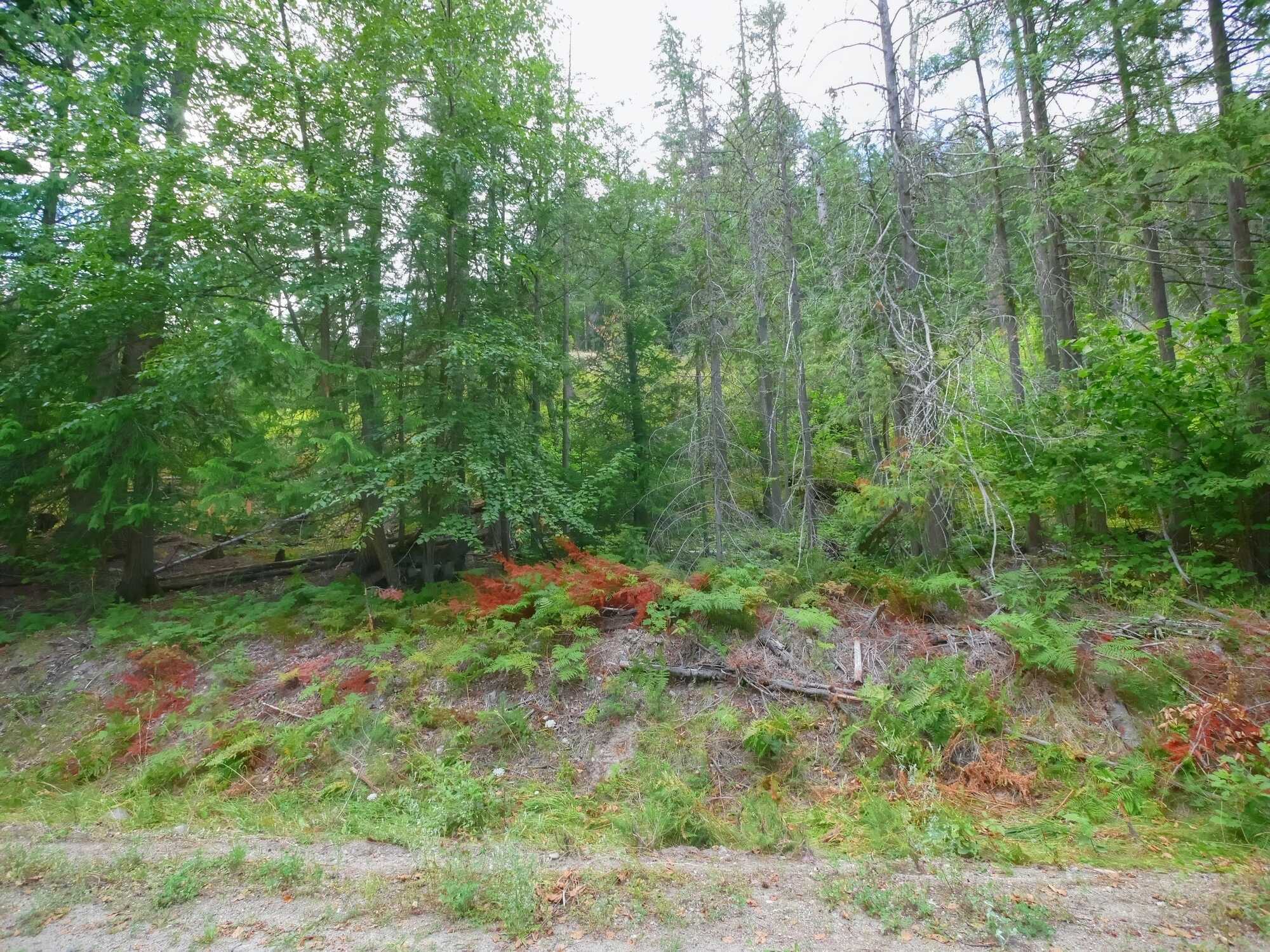 Untouched Slice of Paradise  -  0.99 Acres West side of Lower Arrow Lake - north of Fauquier! Build a dream home, create a peaceful summer retreat or set up an impressive RV site! Choices are endless! 5