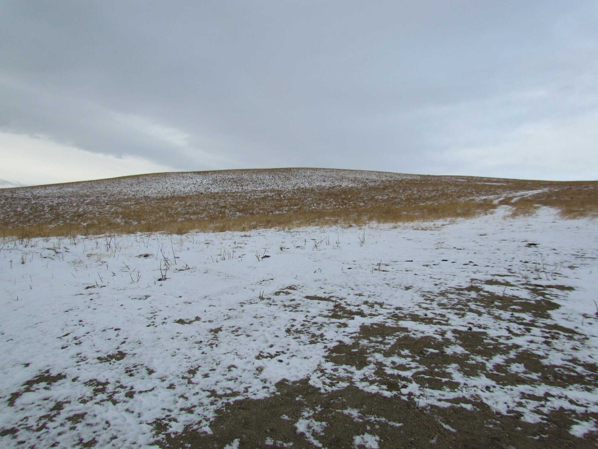 Acreage in the Porcupine Hills 5