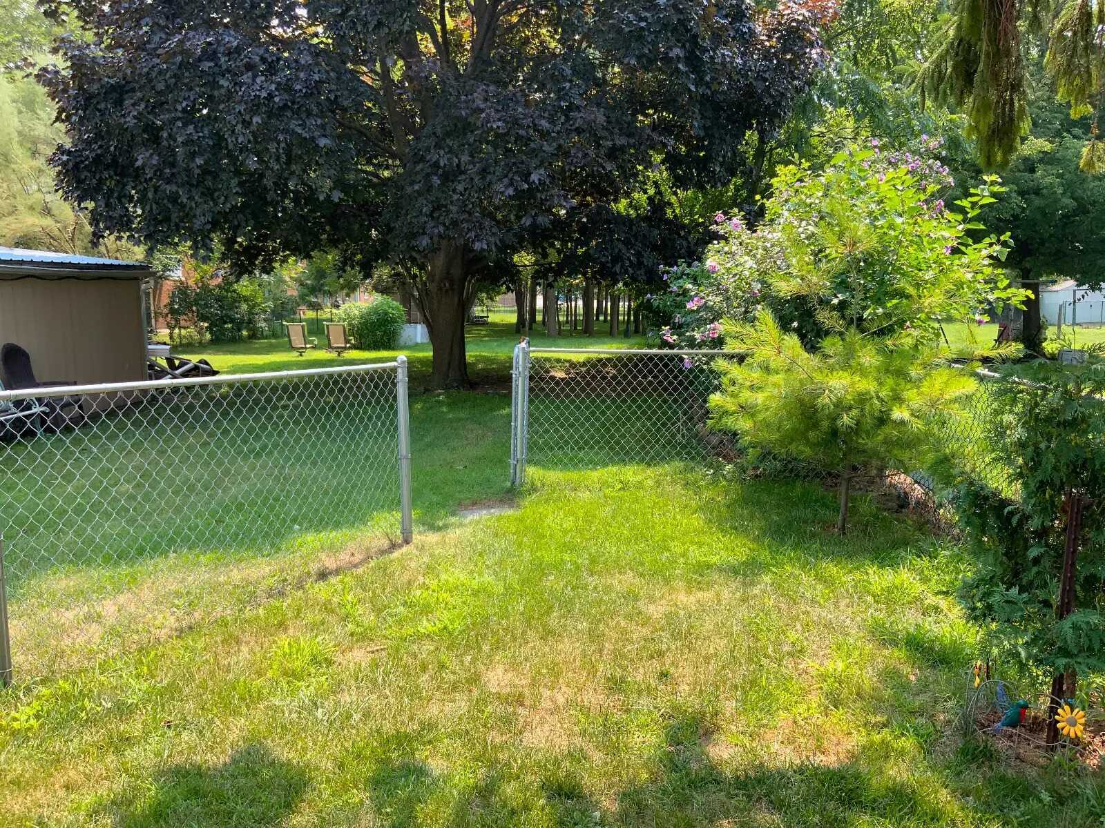 ½ Acre Treed Lot in Central Sarnia – Huge Potential! 4