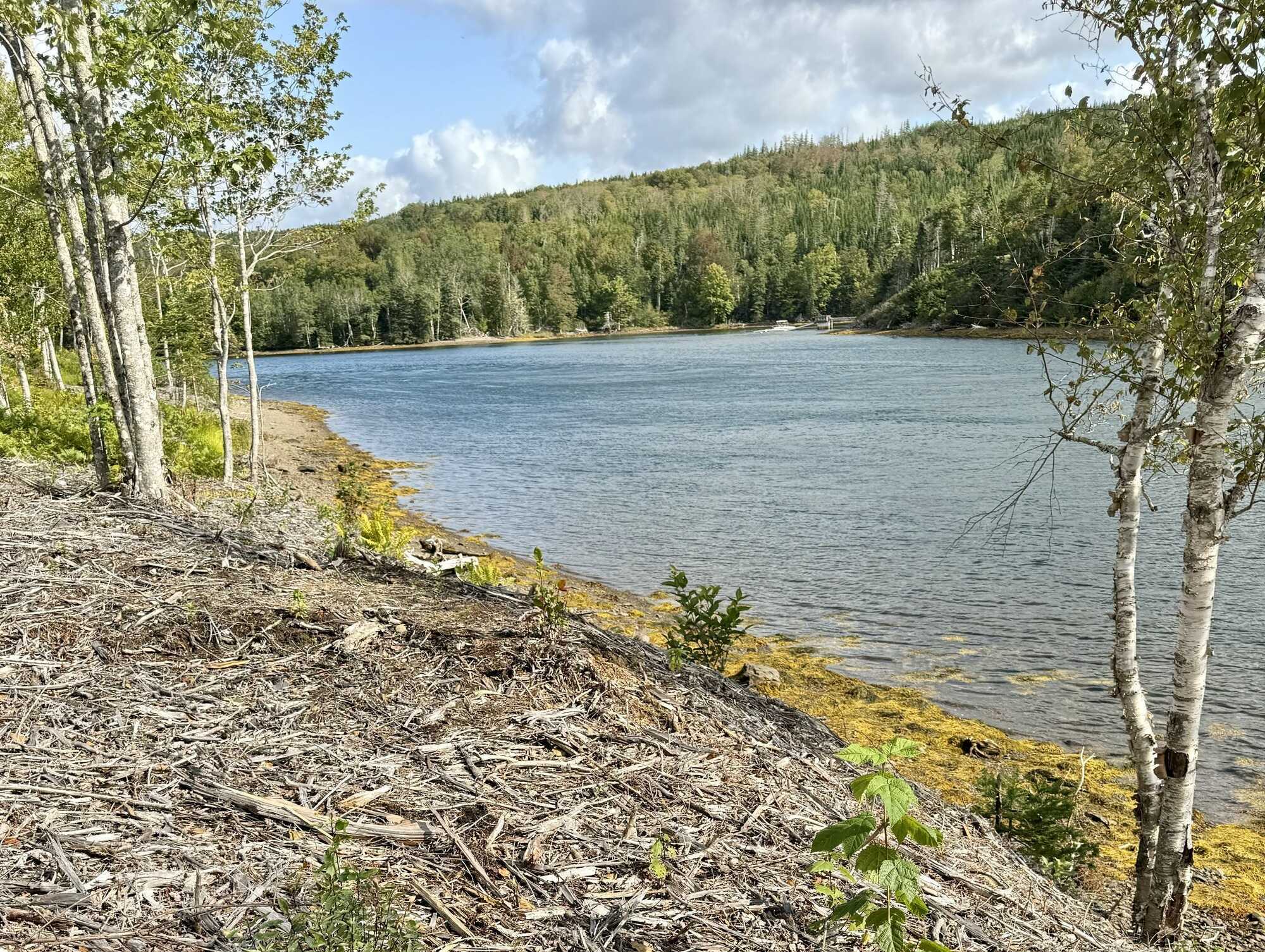Build-Ready Waterfront Lot in Beautiful Boylston 3