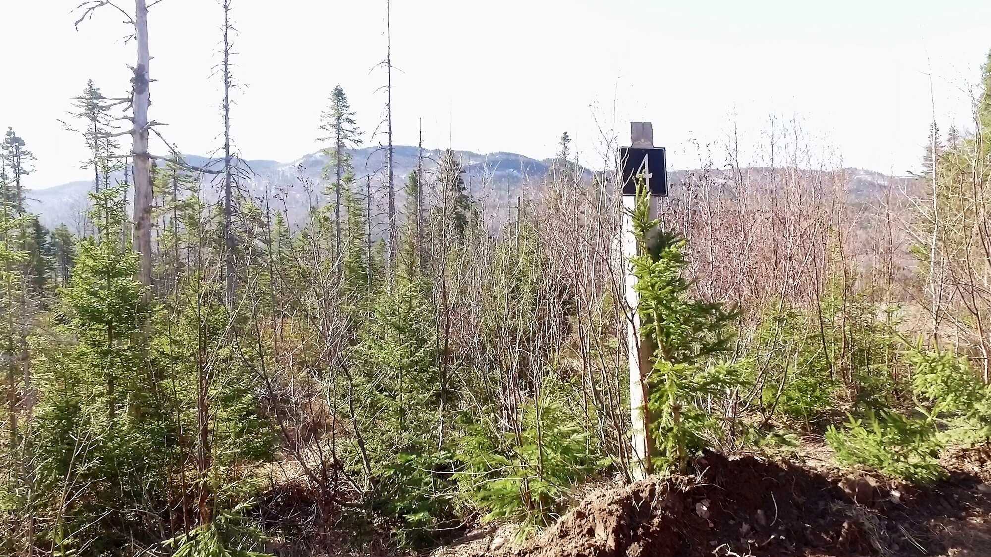 4 Boom Close, Humber Valley Resort 5