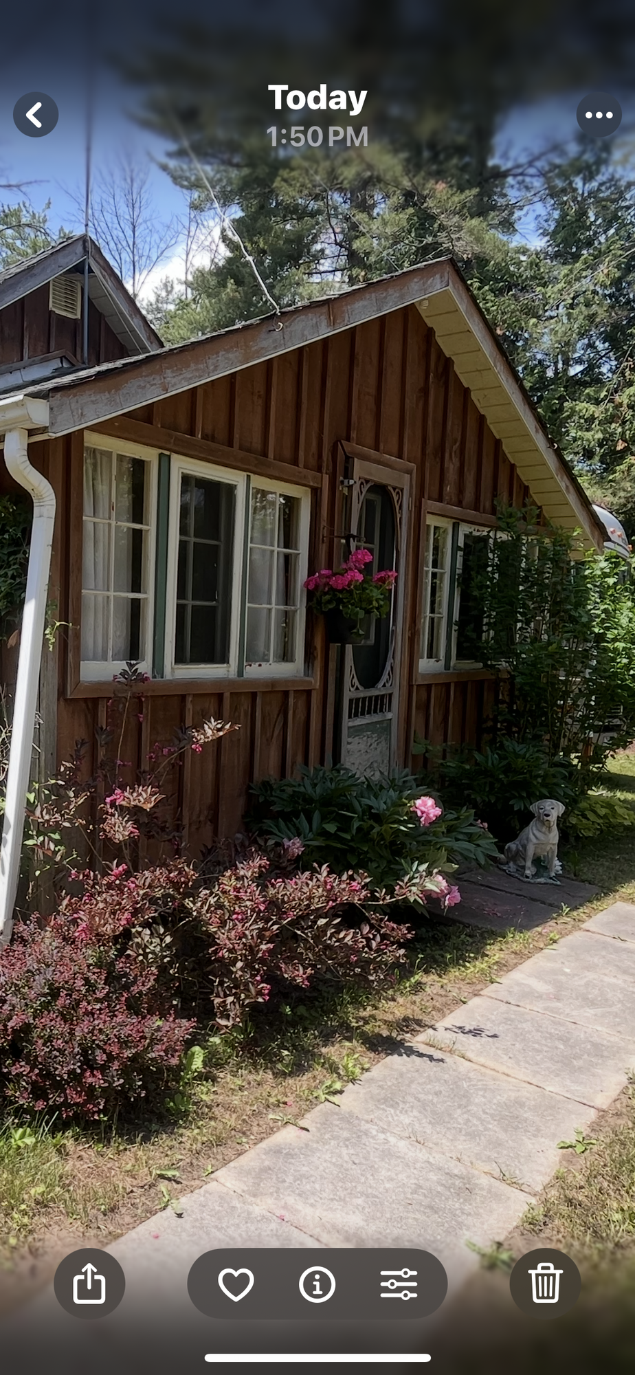 Welcome to this beautiful one bedroom, one bathroom quaint cottage. Beautiful private space on dead end road.  Lake Simcoe deeded waterfront access. Additional opportunity to expand with two adjacent lots separately priced. 5