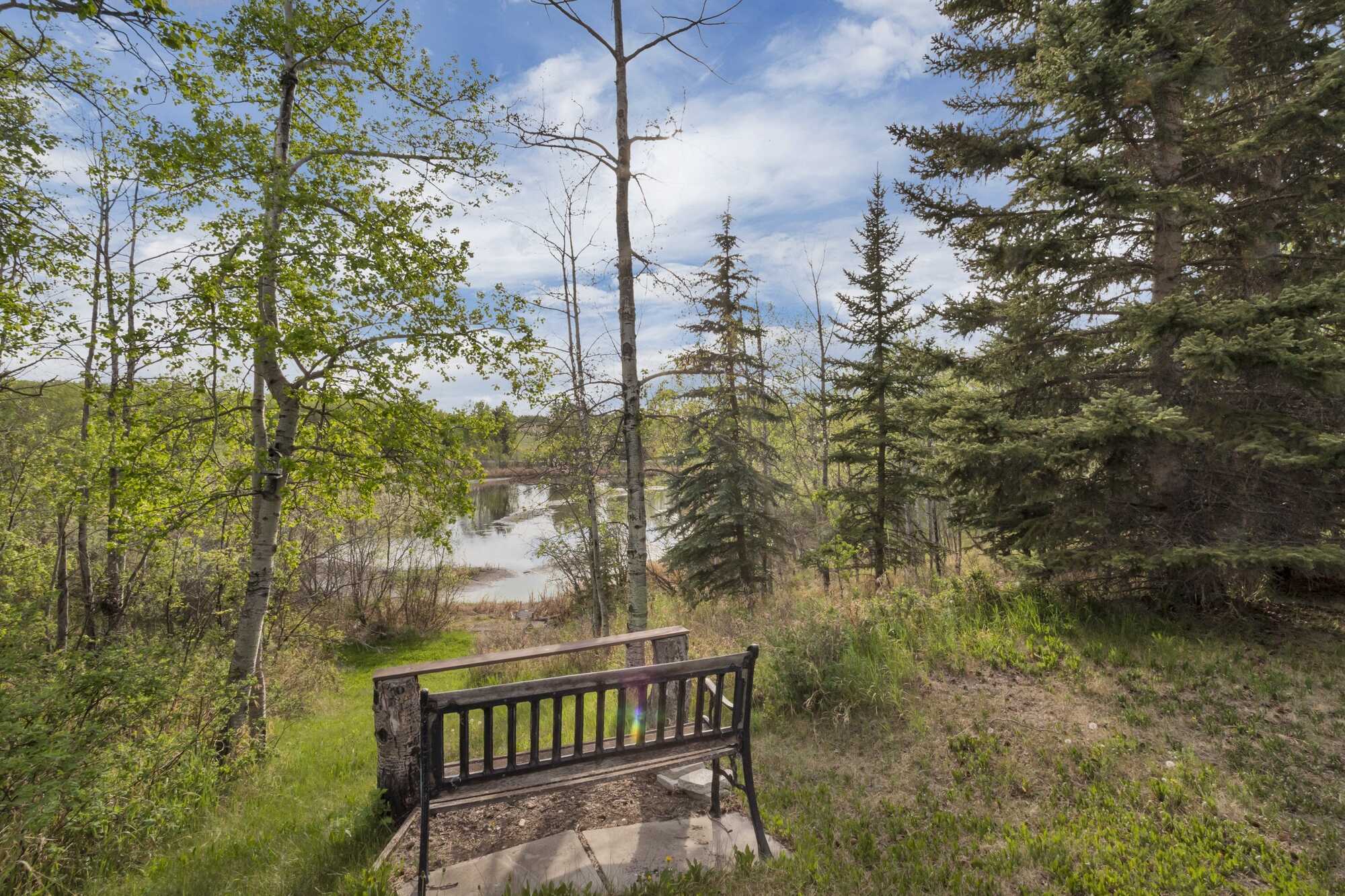 Private 1.54 Acre Recreational Lot ~ Build Your Dream Home ~ Rosewood Estates at Pine Lake ~ 5