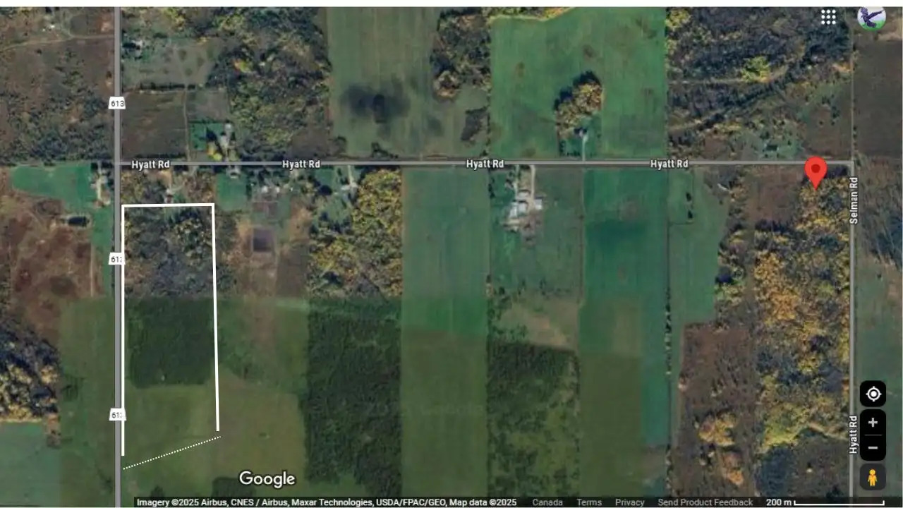 Private Buildable Land with Road Access + Hydro + Creek 3