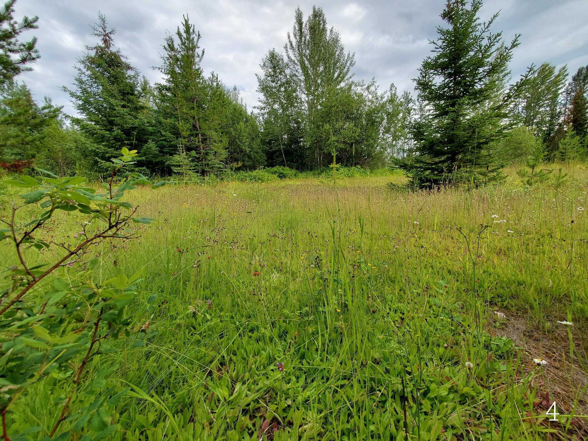 Stunning 5-Acre Property in the Peaceful 10 Mile Lake Area Near Quesnel, BC 4