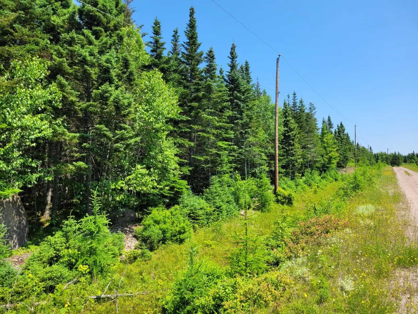 2.5 Acre Building Lot near Evanston 2