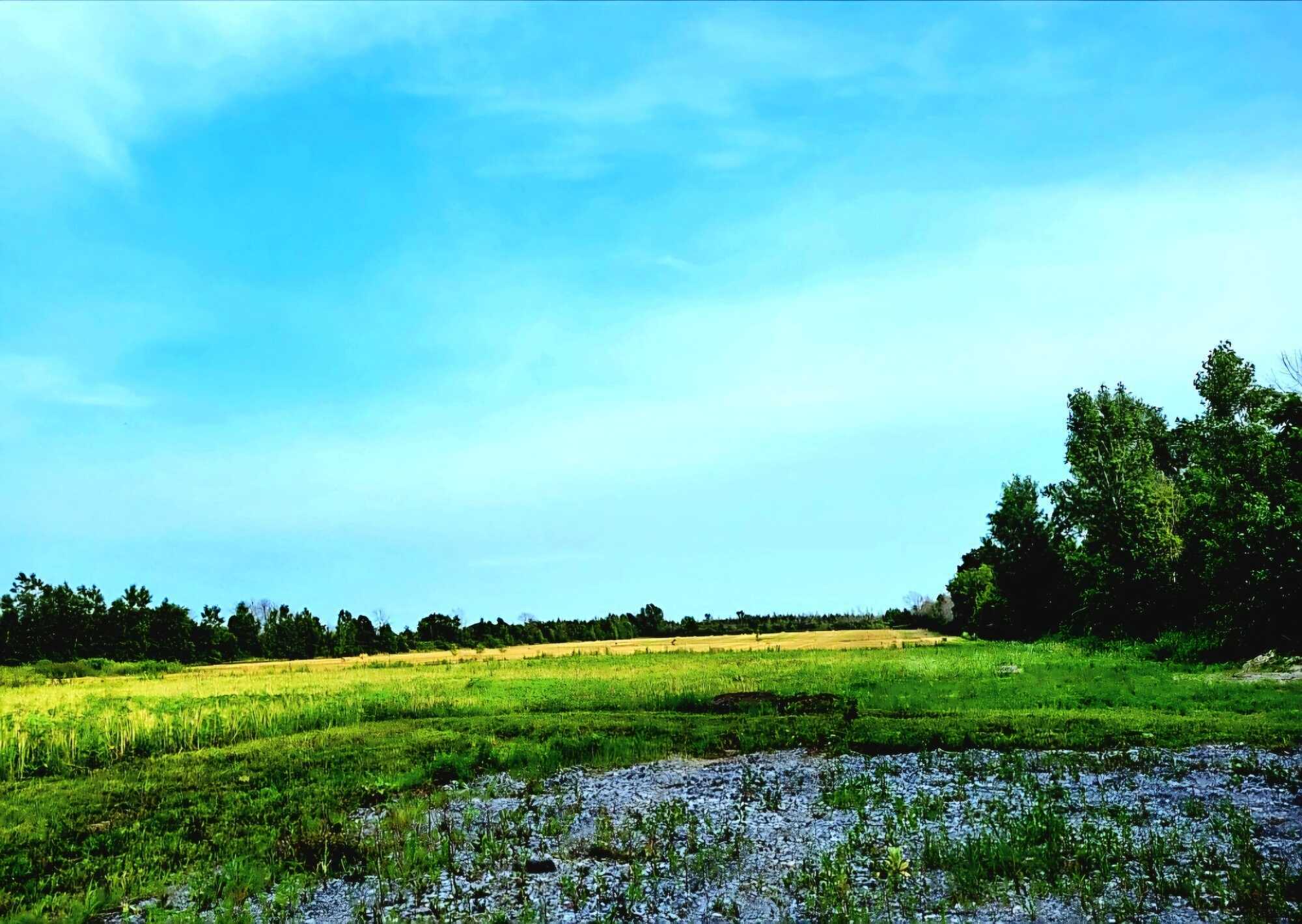 MAKE AN OFFER on this DISTINGUISHED DESTINATION & WATER VIEW LOCATION! WELCOME TO PRINCE EDWARD COUNTY!! 5