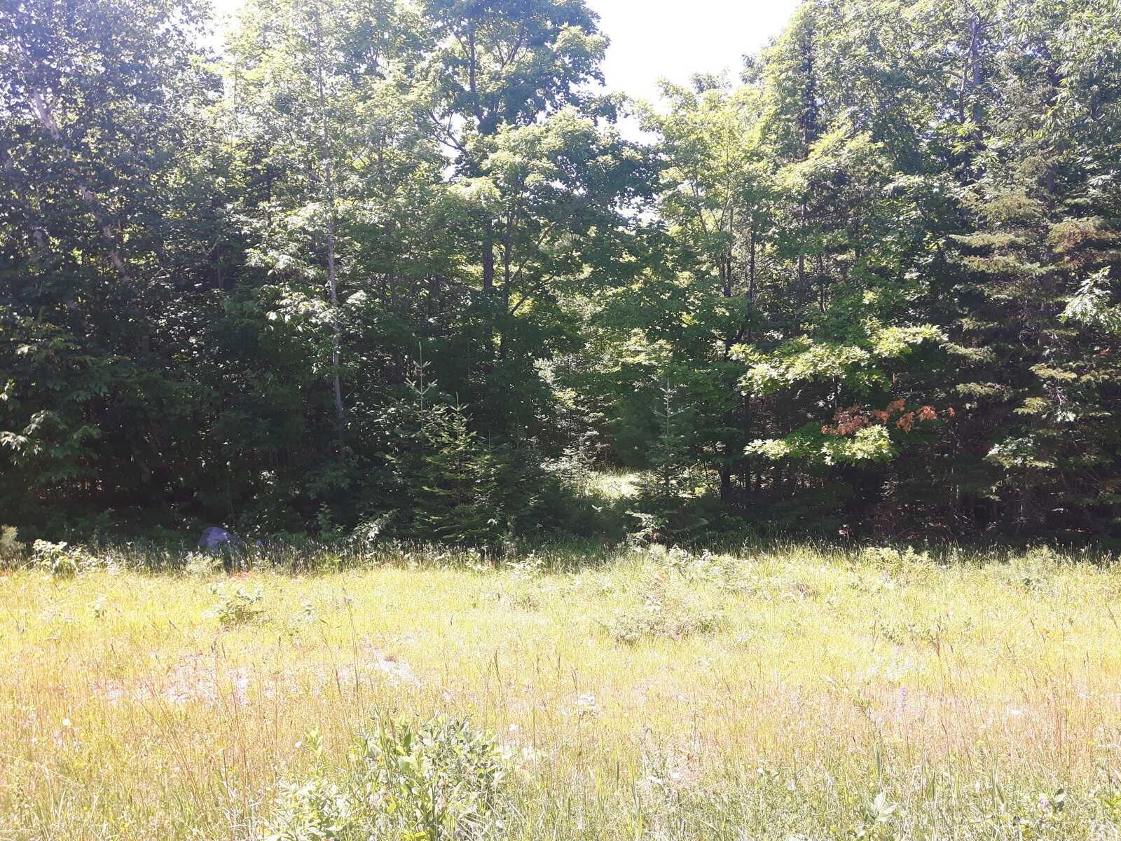 Poplar Road (Lot 12, Con.1) - Manitoulin, Gore Bay (Township of Mills) 2