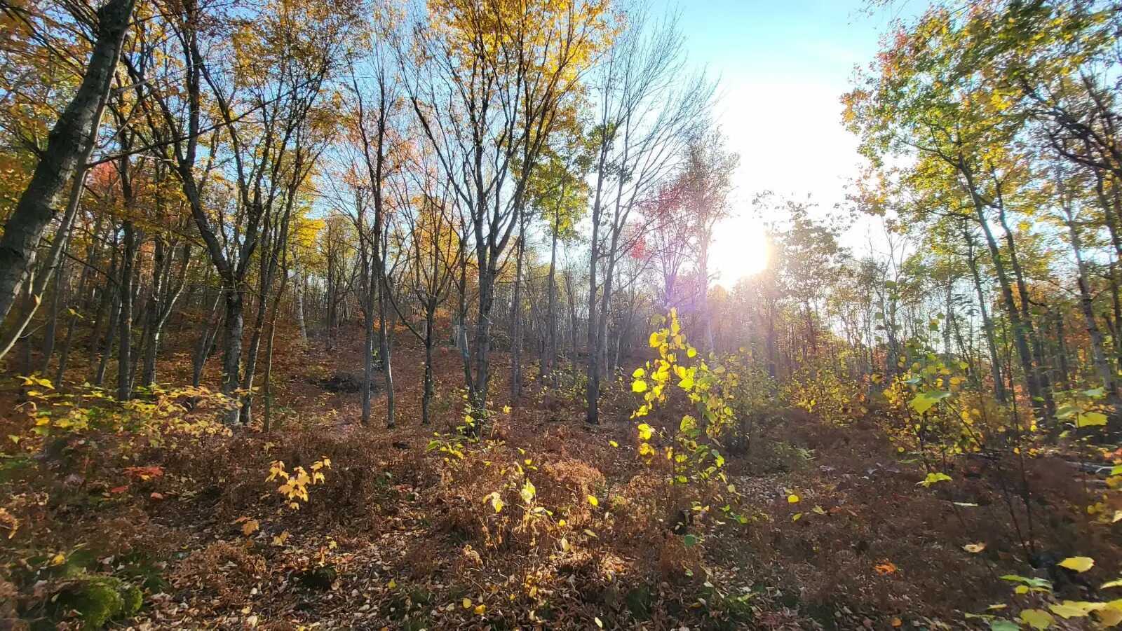 Vacant Land for Sale in Val Caron 3