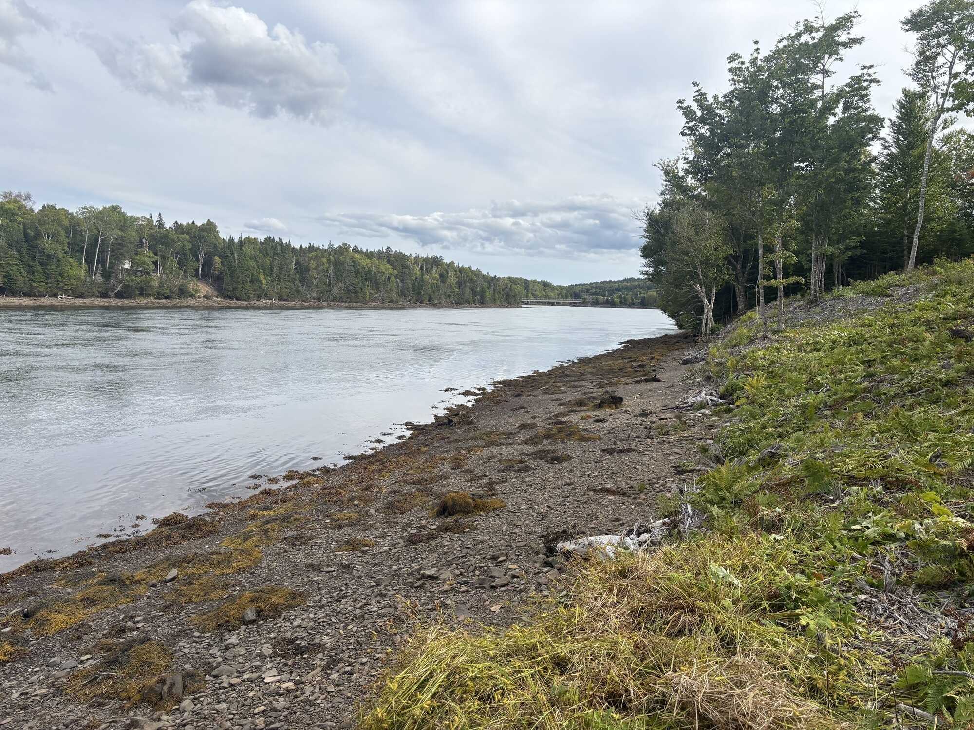 Build-Ready Waterfront Lot in Beautiful Boylston 4