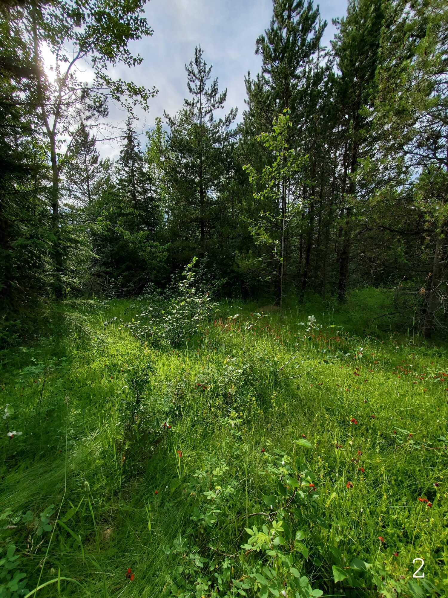 Stunning 5-Acre Property in the Peaceful 10 Mile Lake Area Near Quesnel, BC 2