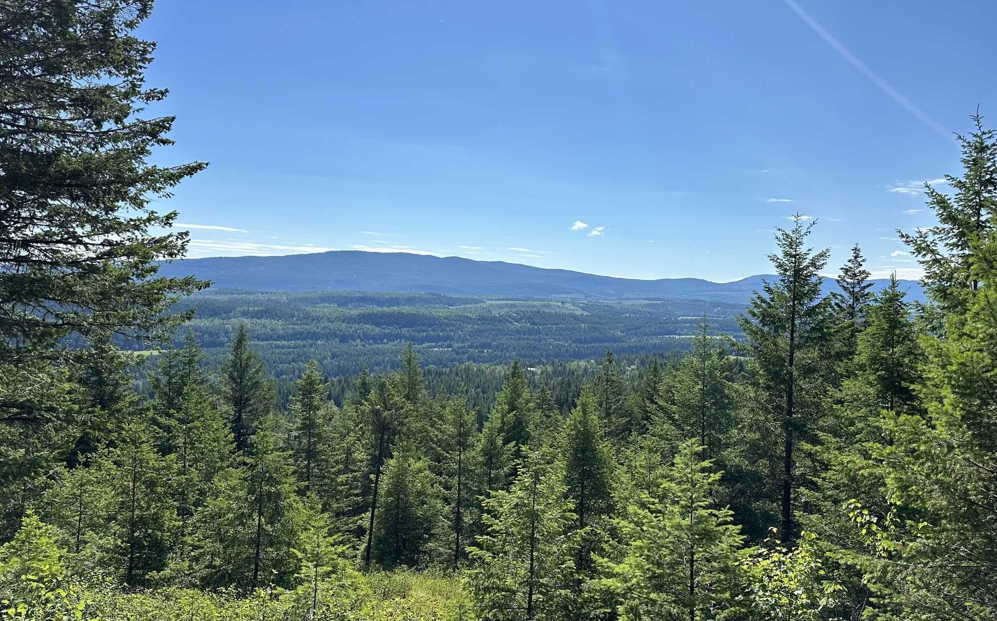 "Private Acreage with New Home, Gardens & Trails – 10 Mins from Quesnel" 2