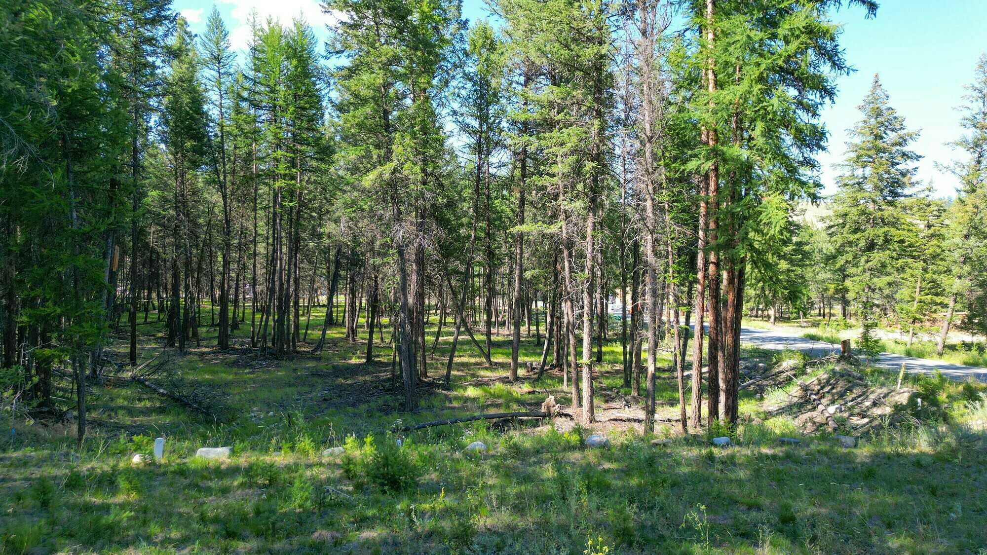Exceptional .689-Acre Parcel in the Residences of Shadow Mountain 2