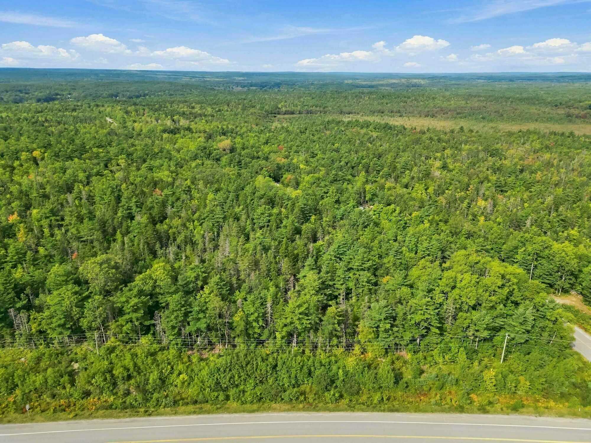 4 Acres of Vacant Land for Sale in Charleston, Nova Scotia 5