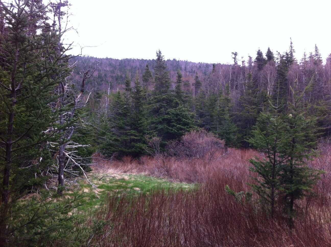3-Acre Property with Subdivision Potential in North River 2