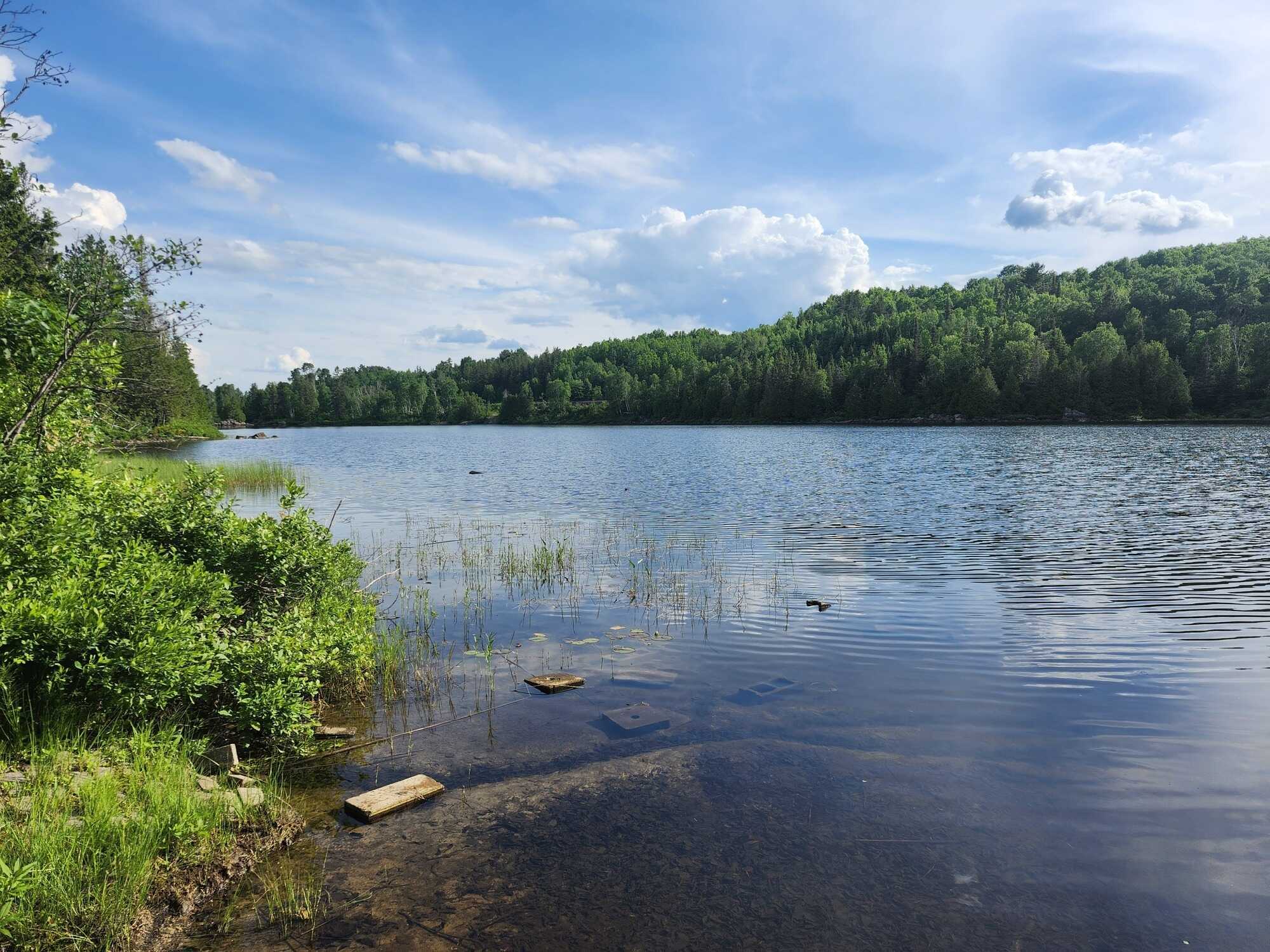 Once-in-a-Lifetime Waterfront Opportunity on Ross Lake! 3