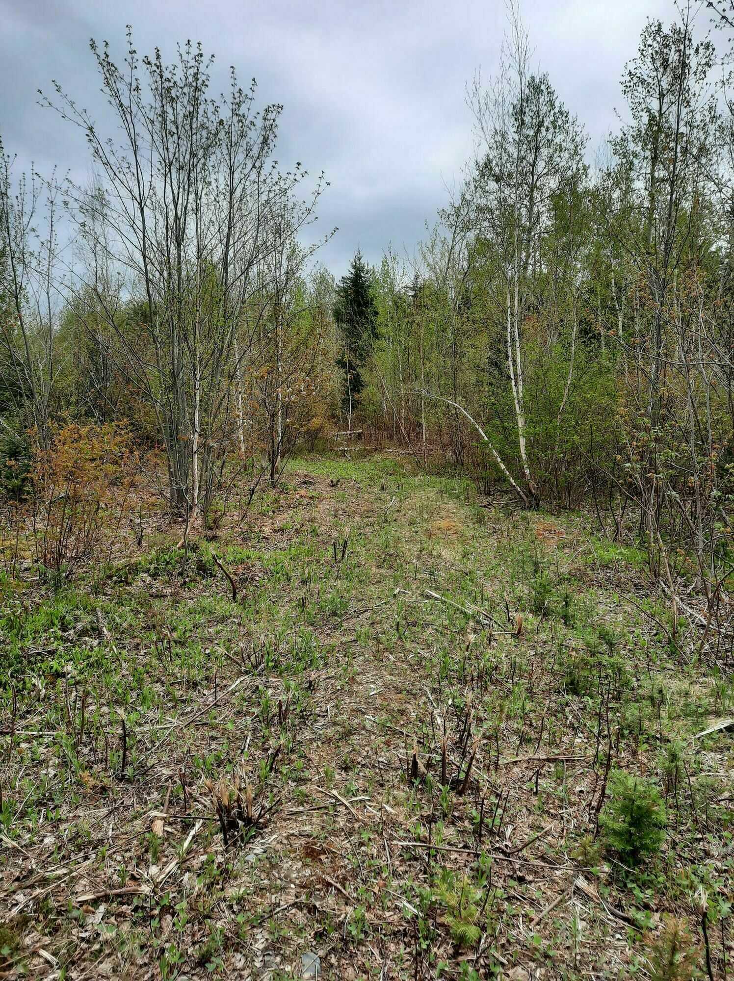 Chemin Village, Rogersville 3
