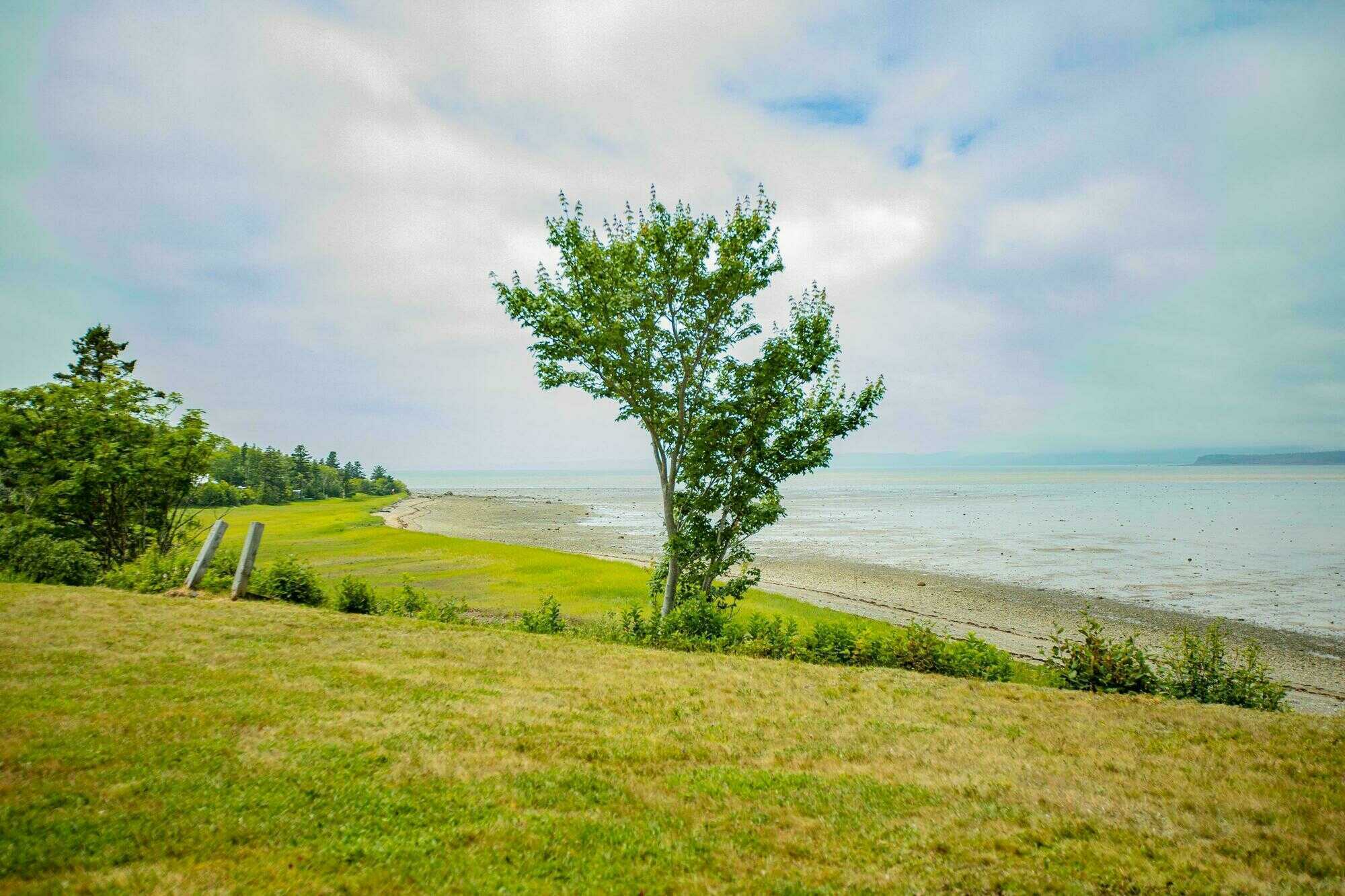 Oceanfront Home on St. Mary's Bay - 8965 Highway 101, Brighton, Digby County NS | 2 Bed, 1.5 Bath, 1.36 Acres with Direct Ocean Frontage | Eagle & Birdwatching Paradise, 15 Min to Digby 3